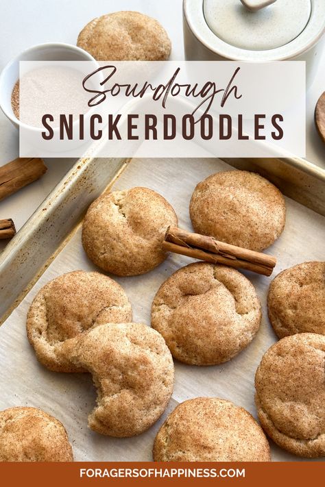 These easy sourdough starter discard snickerdoodle cookies are made with easy pantry ingredients and sourdough discard. These are light and fluffy and so delicious. They have the perfect balance of chewiness with the thick snickerdoodle texture this cookie is known for. Sourdough discard recipes | sourdough cookie recipe Sourdough Discard Snickerdoodle, Easy Sourdough Cookies, Sourdough Snickerdoodle Cookies, Sourdough Snickerdoodles, Sourdough Cookies, Raisin Cookie Recipe, Recipe Using Sourdough Starter, Discard Recipe, Sourdough Starter Discard Recipe