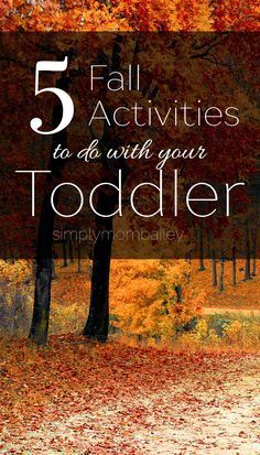 5 Things to do this Fall with your Toddler - Things to do in the Fall - Autumn Activities - Things to do with Kids - Prince George, BC #ExploreBC #fall2017 Fall Activities For Toddlers, Prince George Bc, Mommy Tips, Autumn Activities For Kids, Toddler Fall, Fall Bucket List, Fall Time, Fall Activities, Toddler Fun