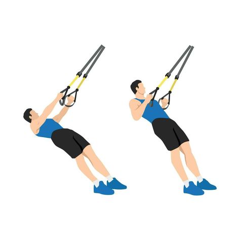 Man doing TRX Suspension strap rows exercise. Flat vector illustration isolated on white background Rows Exercise, Trx Suspension, Flat Vector Illustration, Flat Vector, Trx, Kettlebell, The Man, Vector Art, Persona