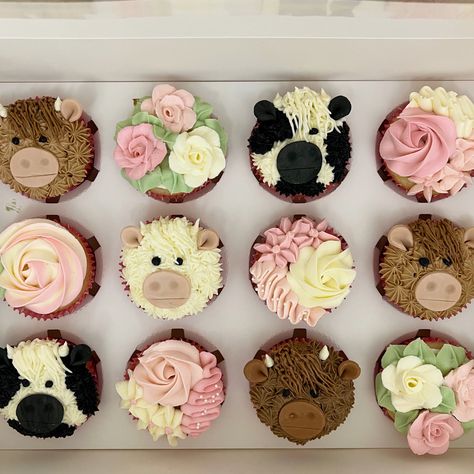 Cow Face Cupcakes, Longhorn Cow Cupcakes, Pink Farm Cupcakes, Hiland Cow Cupcakes, Cute Cow Cupcakes, Pink Cow Cupcakes, Cow Decorated Cupcakes, Highlander Cow Cupcakes, First Rodeo Birthday Cupcakes