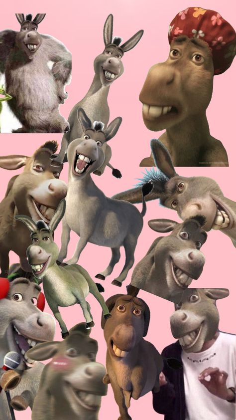 Donkey Wallpaper, Shrek Funny, Cute Wallpaper, Nails 2024, Shrek, Create Collage, Creative Play, Phone Wallpaper, Create Yourself