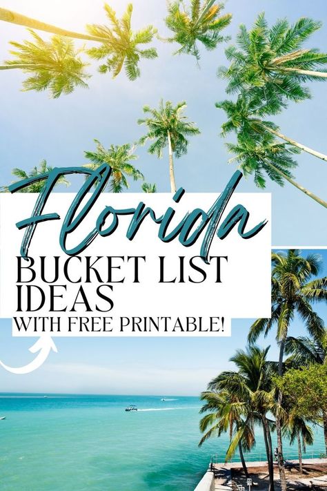 Florida Bucket List Florida Bucket List, Places To Visit In Florida, Things To Do In Florida, Florida Adventures, Travel Spots, List Of Things, Sunny Beach, Sunshine State, Best Places To Visit