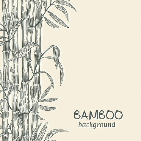 Premium Vector | Banner with bamboo sketch vector illustration eps Bamboo Illustration Design, Bamboo Forest Illustration, Bamboo Sketch, Bamboo Illustration, Bamboo Drawing, Bamboo Background, Bamboo Roof, Furniture Sketch, Vector Banner