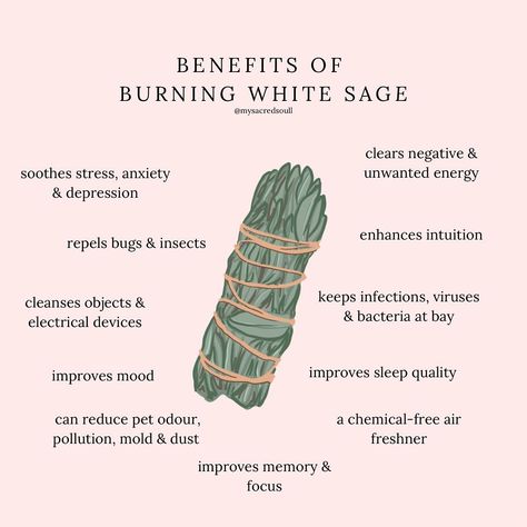 just a few reasons as to why burning white sage is an amazing spiritual practice! 🌿 i like to start my day by burning sage and set an intention for how i want the day to go ✨ i’ve seen a vast improvement in my mental & spiritual well-being since doing this 🥰 our white sage is premium quality with an affordable price tag! it also comes in small & large 💚 www.mysacredsoul.co.uk #whitesage #sage #sagesmudge #whitesagesmudgestick #whitesagebenefits #burningsage #spiritual #spiritualgrowth #s... What Does Sage Do, How To Use White Sage, What Does Burning Sage Do, Sage Benefits Burning, Cleansing With Sage, How To Cleanse With Sage, Sage Brush Drawing, Sage Burning Benefits, How To Burn Sage In Home