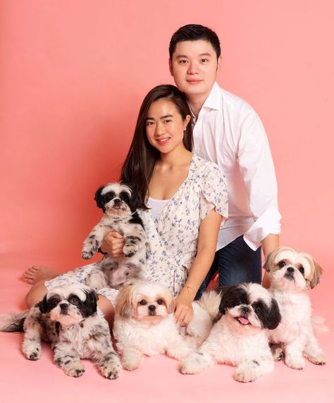 Prewedding With Dog, Family Dog Photos, Xmas Photos, Christmas Photoshoot, Family Dogs, Dog Photography, Dog Photos, Children Photography, Christmas Photos