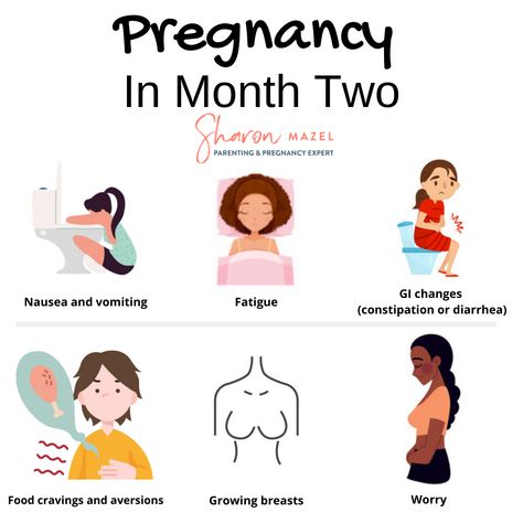 SAVE this pin and SHARE it with someone who is newly #pregnant! Working our way through each month of #pregnancy in these bite-sized pins! Here are some symptoms and experiences you might be having in the second month of pregnancy. Looking for pregnancy and parenting resources? Check out all my helpful guides and courses at sharonmazel.com. Come back to follow along for pins about the rest of pregnancy. Pregnant Activities, Six Months Pregnant, Biology Project, Pregnancy Prayer, First Month Of Pregnancy, Beige Lipstick, Parenting Hacks Baby, Fertility Tips, Pregnancy Timeline