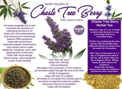 Health Benefits of Chaste Tree Berry Agnus Castus, Chaste Tree, Tomato Nutrition, Calendula Benefits, Fruit Health Benefits, Matcha Benefits, Lemon Benefits, Coconut Health Benefits, Benefits Of Coconut Oil