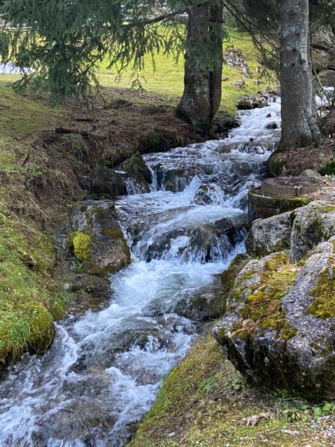 Brook Water Nature, Brooklyn Core, Goblin Market, Fae Aesthetic, Babbling Brook, Family Compound, Nature Witch, Design Homes, Hippie Life