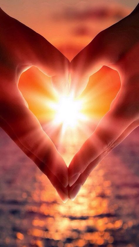 Love ✿⊱╮It's always good to count my blessings and remember how insignificant my… Heart In Nature, Dream Man, I Love Heart, Happy Heart, Beautiful Heart, Heart Art, Love And Light, Sunrise Sunset, A Heart