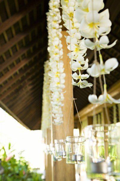 Frangipani Wedding, Paradise Wedding, Plumeria Flowers, Island Weddings, Tropical Wedding, Wedding Deco, Wedding Themes, Flower Decorations, Wedding Inspo