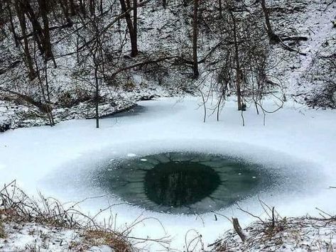 The eye of nature. Eclipse Solar, 다크 판타지, Frozen Lake, In The Woods, The Snow, Surrealism, Frozen, Trees, Forest