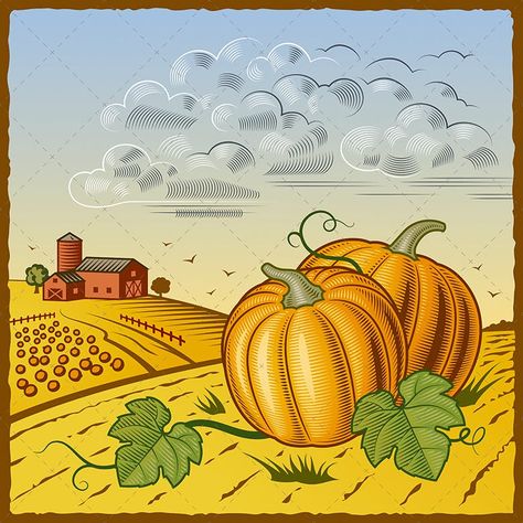 Landscape With Pumpkins Vector Illustration EPS Pumpkin Field Drawing, Field Drawing, Field Illustration, Pumpkin Artwork, Retro Landscape, Orange Room, Pumpkin Field, Farm Fields, Illustration Landscape