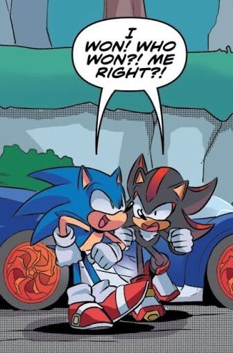 Shadow and Sonic Team Sonic Racing, Sonic Racing, Dik Dik, Shadow Sonic, Sonic Heroes, Sonic Funny, Sonic Fan Characters, Sonic 3, Blue Hedgehog