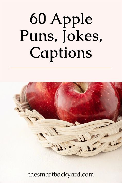 Add these amazing #funny #apple #puns for #kids to your evening #fun and #learning moments with your #children. Apple Puns Cute, Apple Puns, Taco Puns, Puns For Kids, Donut Pun, Apple Quotes, Enjoy With Friends, Apple Martini, Cider House