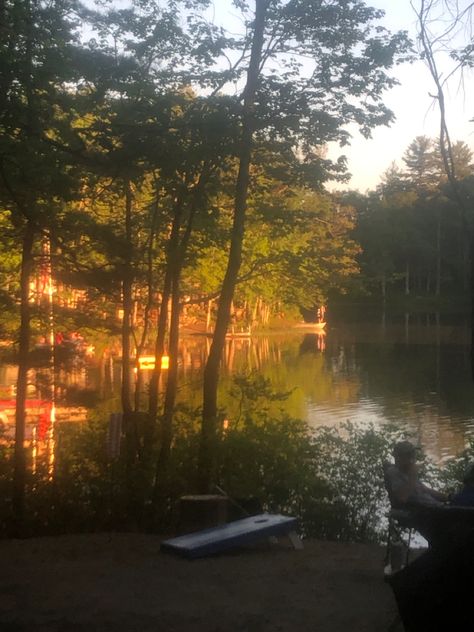 Silken Wolfhound, Golden Hour Forest, Vermont Summer, Faye Webster, Golden Summer, Wood Lake, Childhood Nostalgia, Summer Trip, John Muir