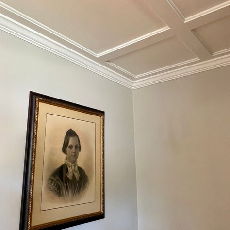 This project added a ton of character to our clients’ dining room. The low-profile ‘coffered’ look with a bordering crown molding gave this gorgeous room the perfect crowning touch! Low Profile Coffered Ceiling, Coffered Ceiling Ideas Living Room, Coffered Ceiling Family Room, Coffered Ceiling Dining Room, Wood Coffered Ceiling, Ceiling Ideas Living Room, Coffered Ceiling Design, Ceiling Crown Molding, Living Room Panelling