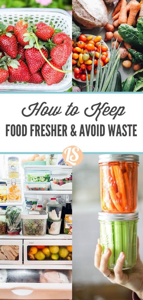 Keep fresh food fresh for longer and save money! Tips and tricks to save food and your money. Food storage hacks. Food Storage Hacks, Cleaning Fruit, Keep Produce Fresh, Salt Block Cooking, Save Money Tips, Money Food, Kitchen Secrets, Food Shelf Life, Food Safety Tips