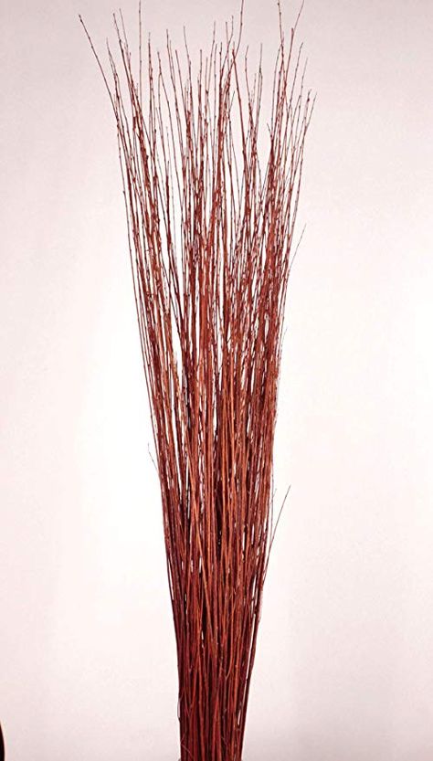 Amazon.com: Green Floral Crafts 4-5 ft Tall, Burnt Red-Orange Asian Willow, Bunch of 90-100 Tall Sticks &Wispy Grass (Vase Not Included): Home & Kitchen Floor Vase Fillers, Willow Sticks, Floral Crafts, Staging Furniture, Fluted Vase, Birch Branches, Burnt Red, Orange House, Tall Vase