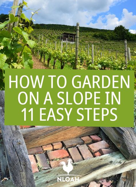 Garden On A Slope, Terraced Vegetable Garden, Survival Garden, Landscaping A Slope, Garden Uk, How To Garden, Sloped Yard, Hillside Garden, Sloped Backyard