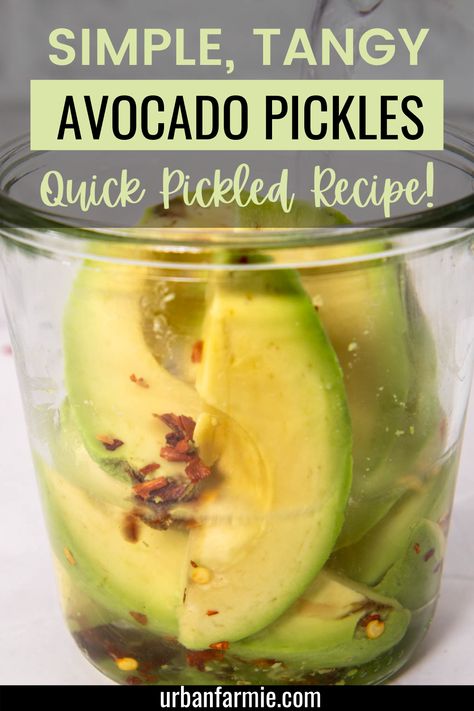 If you've wondered how to pickle or preserve avocados, this recipe will make it super easy for you. Move over, pickled onions, pickled avocados are here to stay! They're great taco toppers or to just eat as a snack! Quick pickle avocados using white vinegar or apple cider vinegar, some garlic and red pepper flakes for a delicious and handy side! Avocado Pickles Recipe, Pickled Melon, How To Can Avocados, Fermented Avocado, Pickled Avocado, Pickling Ideas, Pickle Recipes Appetizer, Pickled Pineapple, Pickled Foods