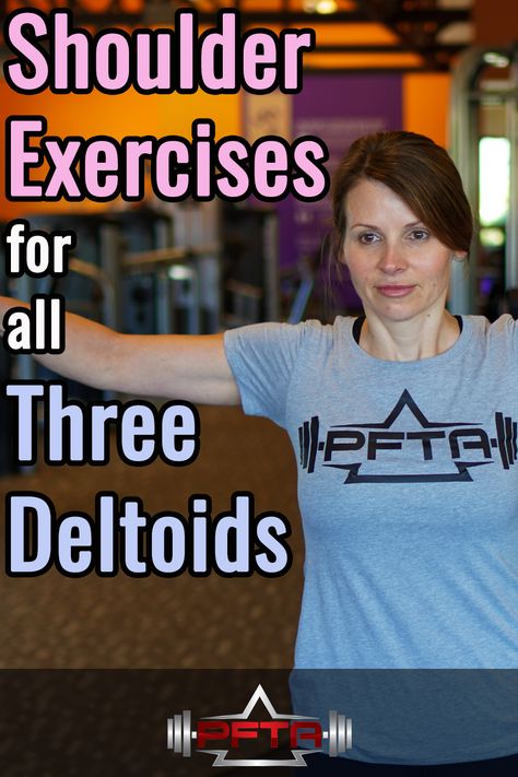 Deltoid Muscle Anatomy, Anterior Deltoid Exercises, Deltoid Stretches For Pain, Deltoid Exercises For Women, Posterior Deltoid Exercises, Deltoid Workout Women, Rear Deltoid Exercises, Deltoid Exercises, Shoulder Exercises For Women