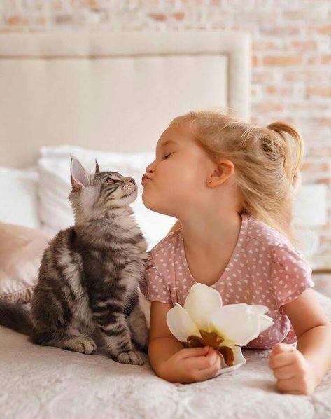 Söt Katt, Beautiful Cats, 귀여운 동물, Animals Friends, Cat Love, Animals For Kids, Animals And Pets, A Cat