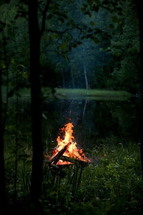 Forest Fire, High Tide, Camping Life, Green Grass, Bushcraft, Nature Pictures, Fireworks, New England, Eiffel Tower