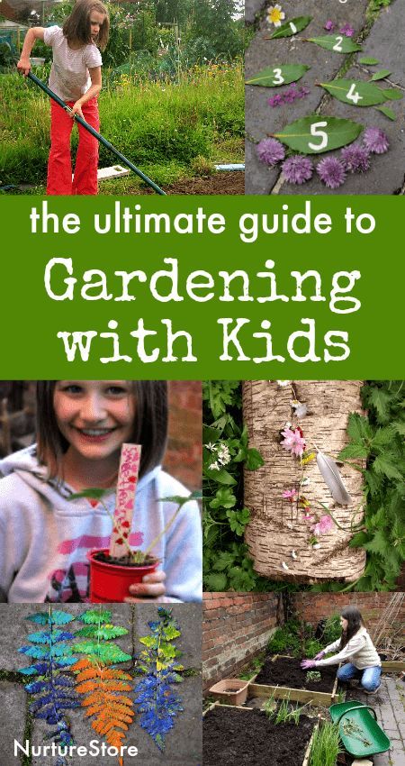 School Garden Ideas, School Garden Club, Child Friendly Garden, Garden Classroom, Gardening With Kids, Gardening Photography, Play Math, Garden Kids, Video Garden