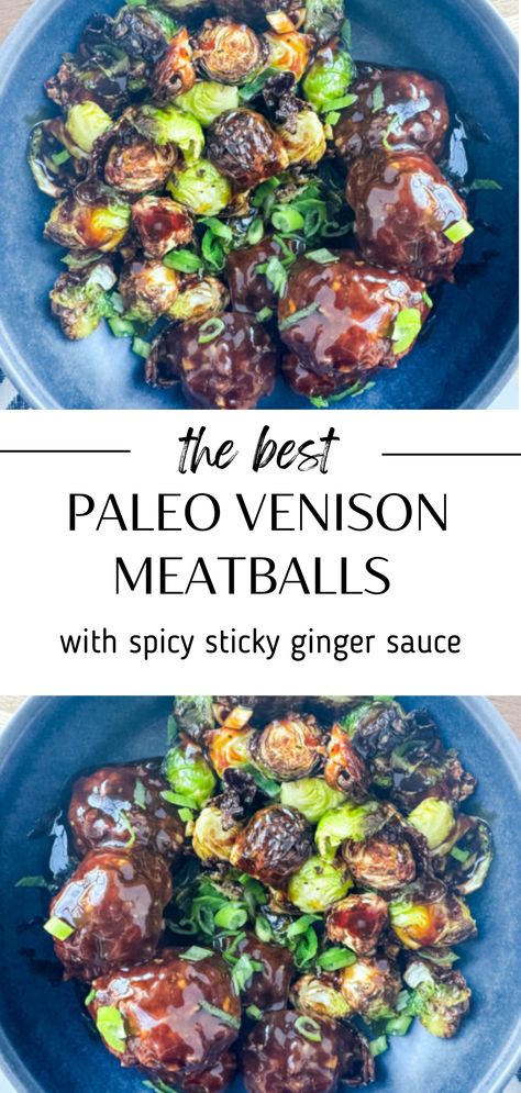 These paleo venison meatballs are made with a sticky ginger sauce. This is the best sauce and my whole family likes it! If you are looking to eat a leaner cut of meat, you need to try deer meat. Add a flavorful sauce when trying a new type of meat! Hope you enjoy this easy dinner recipe. Healthy Venison Dinner Recipes, Paleo Venison Recipes, Venison Mince Recipes, Sauce For Venison, Healthy Venison Recipes, Venison Curry, Venison Meatloaf, Hunting Recipes, Ground Venison Recipes