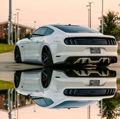 Bad-ass Ford Mustang White Ford Mustang Gt, Bentley Auto, Ford Mustang Car, Bentley Continental Gt, Haikou, Ford Shelby, Bentley Continental, Ford Mustang Shelby, Nissan Gt-r