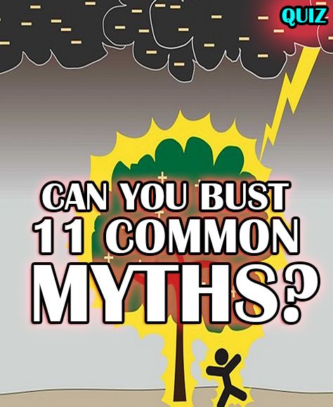 Can you determine which of these 12 common myths are true or false? Take the quiz to find out! Pop Quiz, Common Myths, Let's Have Fun, Homeschool Science, Not Afraid, Trivia, Other People, How To Find Out, Science