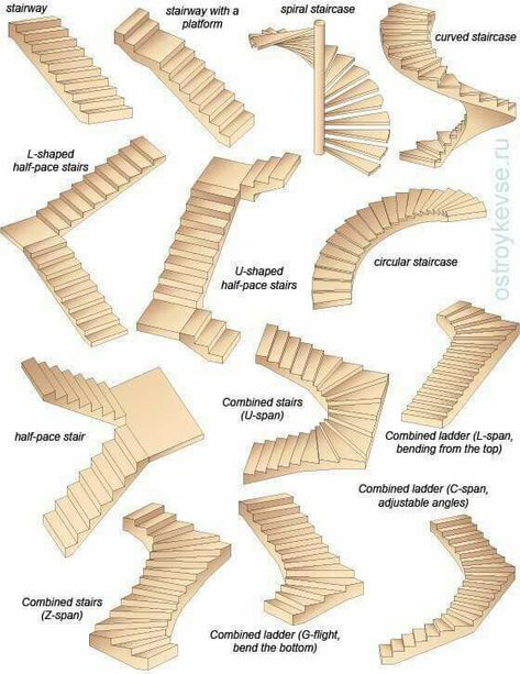 Types d’escalier Vstupná Hala, Types Of Stairs, Building Stairs, Stairs Architecture, Stairway Design, Stairs Design Modern, Home Stairs Design, Curved Staircase, Interior Stairs