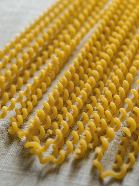 long fusilli pasta Homemade Fusilli Pasta, Long Fusilli Pasta, Giant Fusilli Pasta, Fusilli Caserecci Pasta Recipes, Fusilloni-pasta Recipe, Fusilli Pasta, Best Italian Recipes, Italian Pasta, Foods To Eat