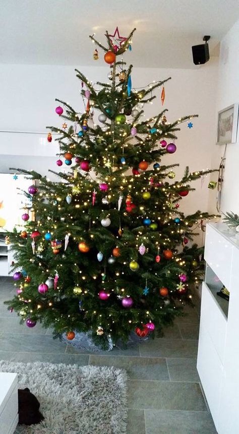 Jewel Coloured Christmas Tree, Multicolour Christmas Tree, Colourful Xmas Tree, Coloured Christmas Tree Lights, Colourful Christmas Tree Ideas, Christmas Tree Coloured Lights, Christmas Tree Colourful, Multicoloured Christmas Tree, Multicolor Christmas Lights On House