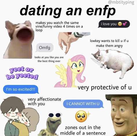 Istp Relationships, Enfp And Infj, Personalidad Enfp, Intj Enfp, 16 Personality Types, Enfp Relationships, Istp Personality, Enfp Personality, Enfp T