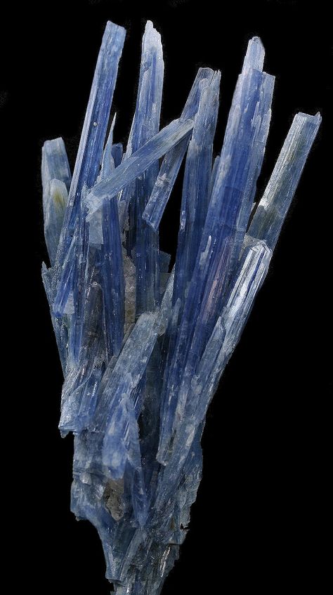 Minerals Crystals Rocks, The Crystals, Kyanite Crystal, Geology Rocks, Fine Minerals, Cool Rocks, Blue Tourmaline, Beautiful Rocks, An Aesthetic