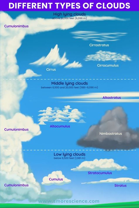 #clouds #atmosphere #troposphere #science #scienceforkids #sciencemagazine #stem #stemeducation #stemforkids Types Of Cloud, Clouds Images, Layers Of Atmosphere, Cloud Types, Cloud Tattoos, Kinds Of Clouds, Types Of Clouds, Cloud Type, Weather Cloud