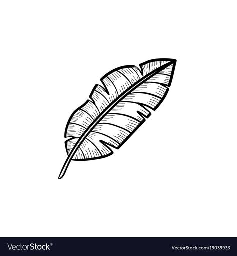 Banana Leaf Tattoo Tropical Leaves, Banana Leaf Outline, Banana Leaf Sketch, Banana Leaf Vector, Banana Leaves Drawing, Banana Leaf Drawing, Banana Leaf Tattoo, Woodworking Ornaments, Leaf Sketch