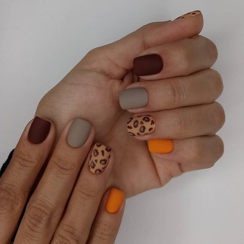 Nail Fall Designs 2024, Gell Nails Short Fall, Leopard Nails Fall, Boho Fall Nails Simple, Trendy Nails Short Square Fall, Nail Designs One Color, Fall Nails Matte Short, Fall Inspo Nails Short, Fall Nails 2023 Matte