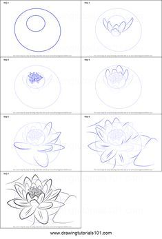 29 Art tutorials ideas in 2022 | art tutorials, flower drawing tutorials, flower drawing Drawing Ideas Step By Step, Water Lily Drawing, Lotus Drawing, Lilies Drawing, Koi Fish Drawing, Water Lilies Painting, Arte Folk, Flower Drawing Tutorials, Drawing Sheet