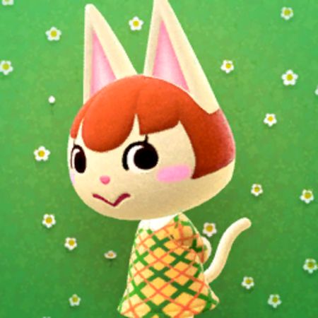 Animal Crossing Wiki, Animal Crossing