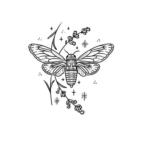 Cicadas Tattoo, Small Cicada Tattoo, Minimalist Cicada Tattoo, Cicada Tattoo Design, Simple Cicada Tattoo, Cicada Drawing Tattoo, Brazilian Tattoo Ideas, Cicada Drawing, Line Work Bug Tattoo