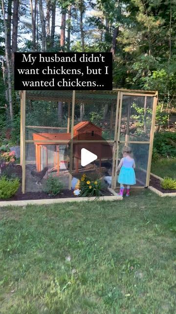 Duck Houses, Mini Cows, Duck House, Backyard Flocks, Throwing It Back, Where It All Began, Chicken Lady, Most Viewed, Big Garden