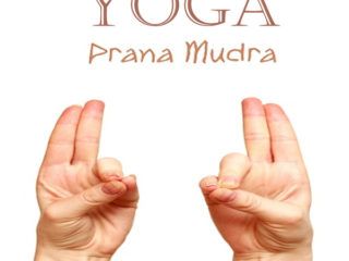 The Meaning OF Kartari Mudra and Steps To Do It | Styles At Life Prana Mudra, Getting Rid Of Migraines, Getting Rid Of Headaches, Yoga Mudra, Hand Mudras, Basic Yoga Poses, Yoga Hands, Yoga Techniques, Bikram Yoga