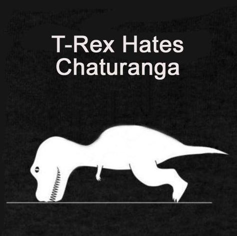 T-Rex really does.  Just because you give it a fancy name doesn't mean it's not a push up Yoga Jokes, Yoga Meme, Yoga Humor, Power Yoga Workout, Yoga Kids, Yoga Beginners, Online Yoga Classes, Friday Motivation, Yoga Props