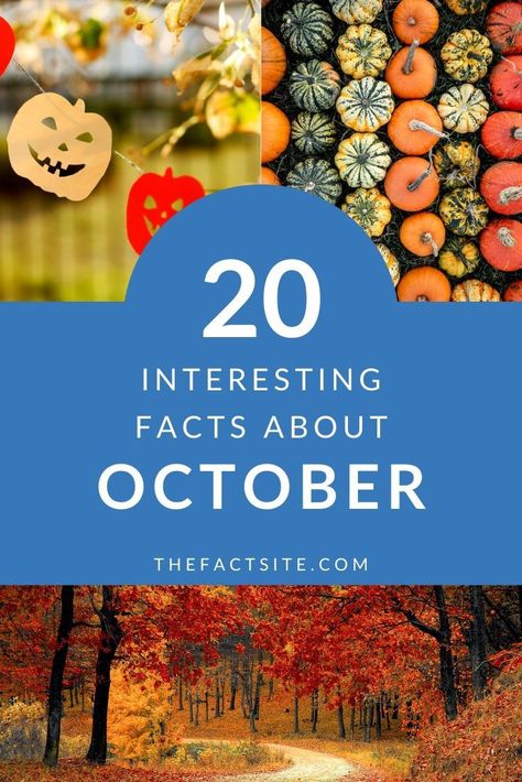 October is the 10th month of the Gregorian Calendar. The days are becoming shorter and cooler for the Northern hemisphere and opposite is true of the Southern hemisphere. October observes some fascinating dates including Halloween. We’ve put together some of the top things that October has to offer. Come take a look. #TheFactSite #Facts #MonthsOfTheYear #October #AutumnActivites #Halloween #Autumn Important Days In October, October Facts, October Memes, Gregorian Calendar, Vegetarian Day, 30 October, Halloween Facts, Movie Plot, 28th October