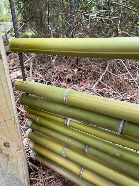 Diy Bamboo Fences, Bamboo Uses, Diy Bamboo Projects, Bamboo Pergola, Bamboo Garden Fences, Bamboo Diy, Bamboo Privacy, Diy Garden Fence, Bamboo House Design