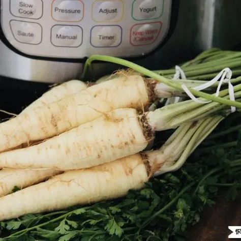 Instant Pot baby parsnips are perfect for steaming in the Instant Pot pressure cooker. They take only a few short minutes and then you have perfect baby parsnips for lunch or dinner. #instantpot #instantpotrecipes #instantpotparsnips #instantpotvegetables #instantpotveg Cooking Parsnips, How To Cook Parsnips, Dinner Instant Pot, Parsnips Recipe, Cheesy Broccoli Soup, Parsnip Recipes, Lentil Vegetable Soup, Slow Cooker Times, Hearty Vegetable Soup