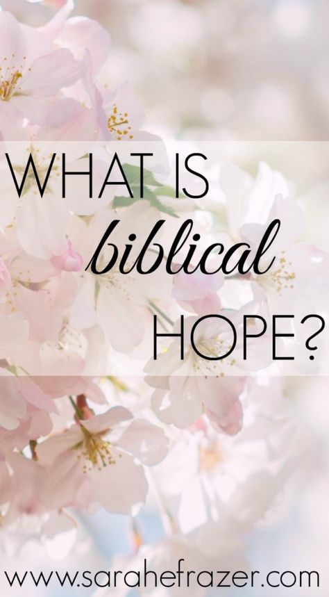 What does the Bible say about hope? It is not what the world says, but something deeper and more beautiful. Discover how the hope of God can transform your life and renew your weary spirit. || Sarah E. Frazer #hope #spiritualgrowth #christianliving #trustgod #sarahefrazer Breaking Cycles, Hope In The Lord, Connect With God, Bible Study Help, Bible Study Plans, Bible Study Tips, Faith Encouragement, Dark Days, Hope In God