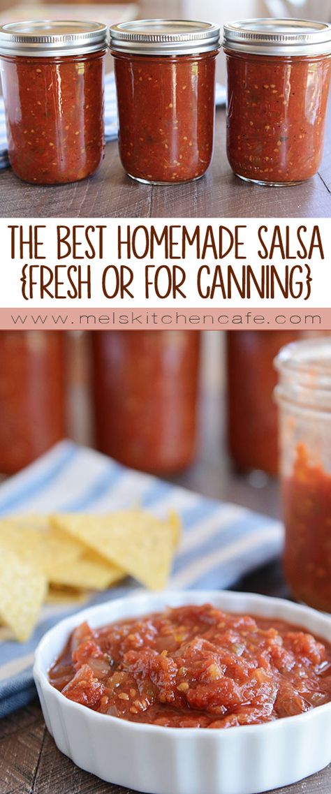 The Best Homemade Salsa {Fresh or For Canning} Best Homemade Salsa, Parmesan Chips, Law Carb, Canning Salsa, Canning Tips, Homemade Salsa, Garden Recipes, Salsa Recipe, Tomato Recipes